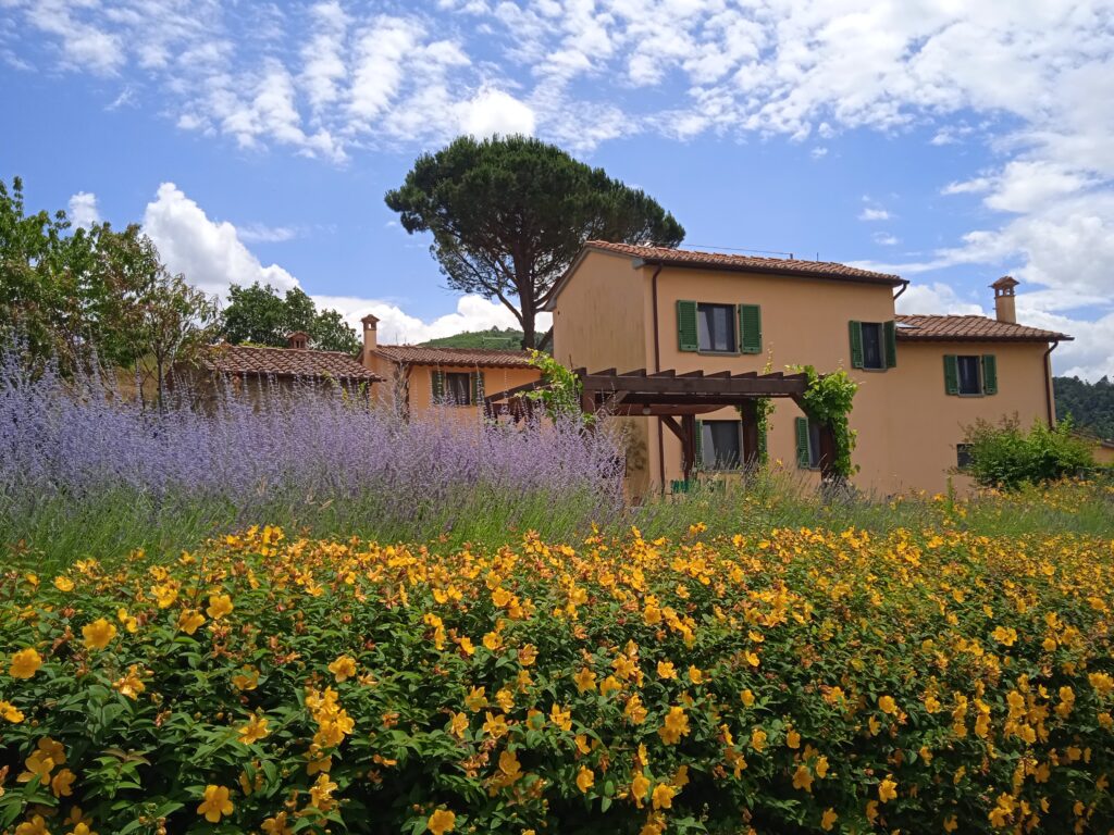 tuscany flowers